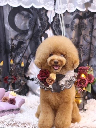 20231015こじろうくん